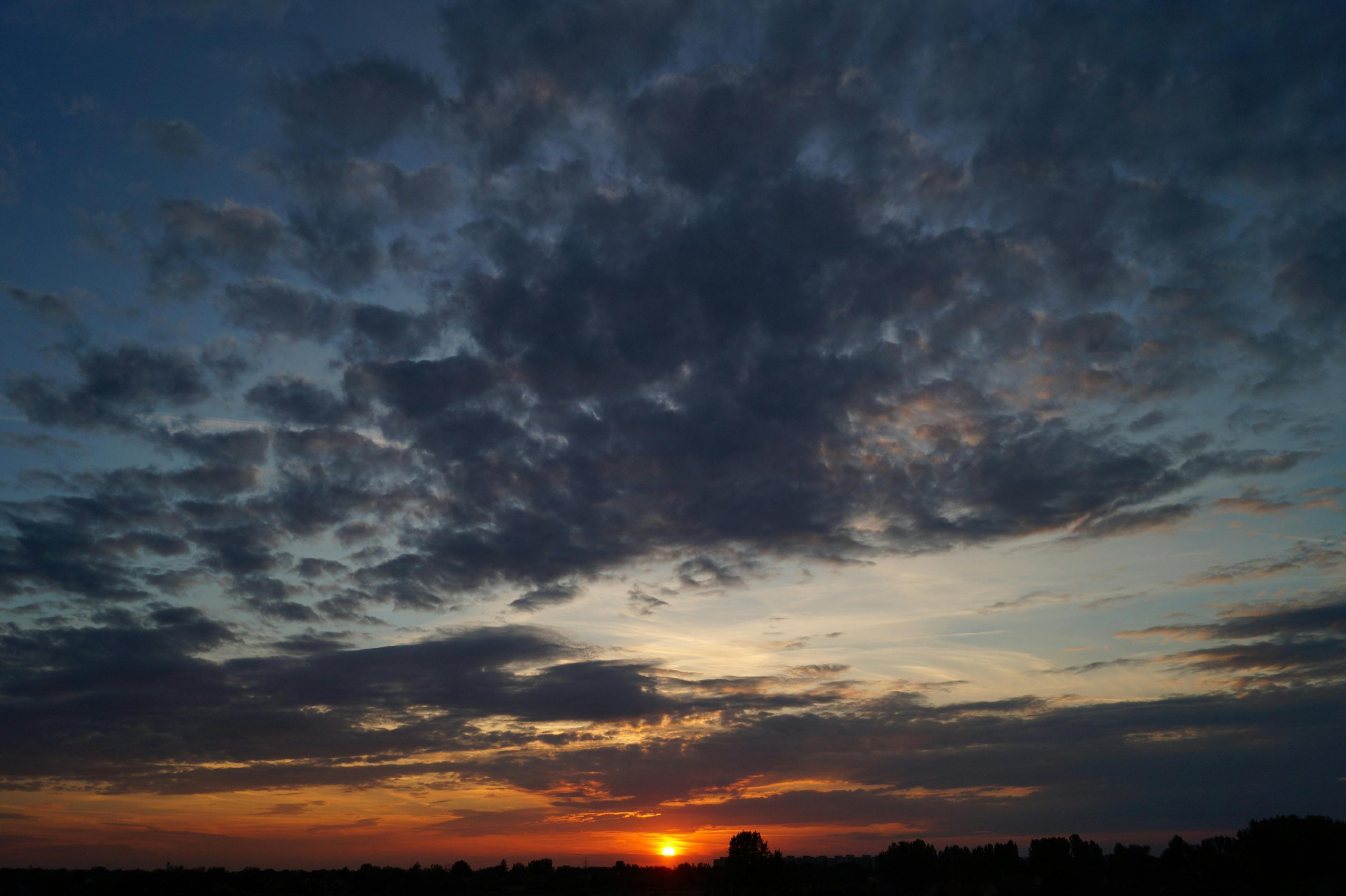 blog post